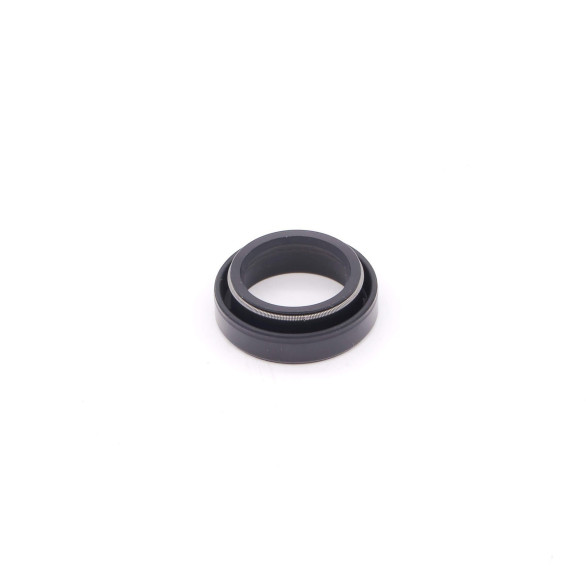 Rotary Shaft Seal 24 x 36 x 8-12 pinion with tail Box Renault R8, A110 (1600)