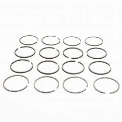 4 Sets of 4 segments ⌀75mm (2.5+2.5+4+4) Peugeot 203 and 403 7hp