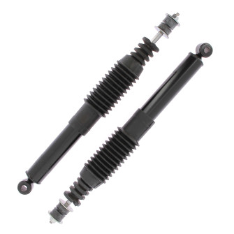 Pair of rear shock absorbers Renault R5 (Except LS, TS, TX, Alpine, Rodeo, Turbo)