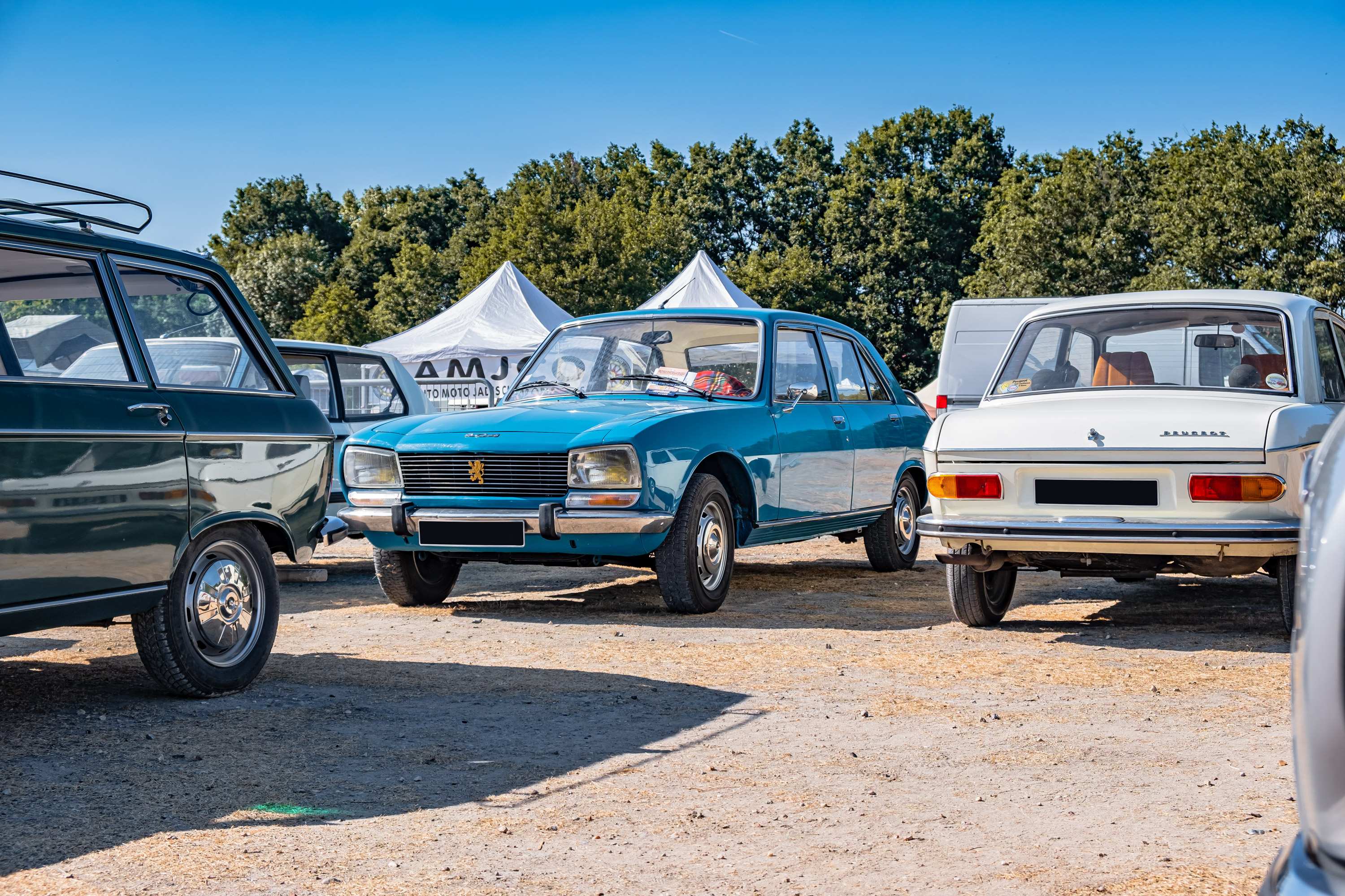 Paire d'amortisseurs arrière Renault R4, R6, Rodéo - Alepoc